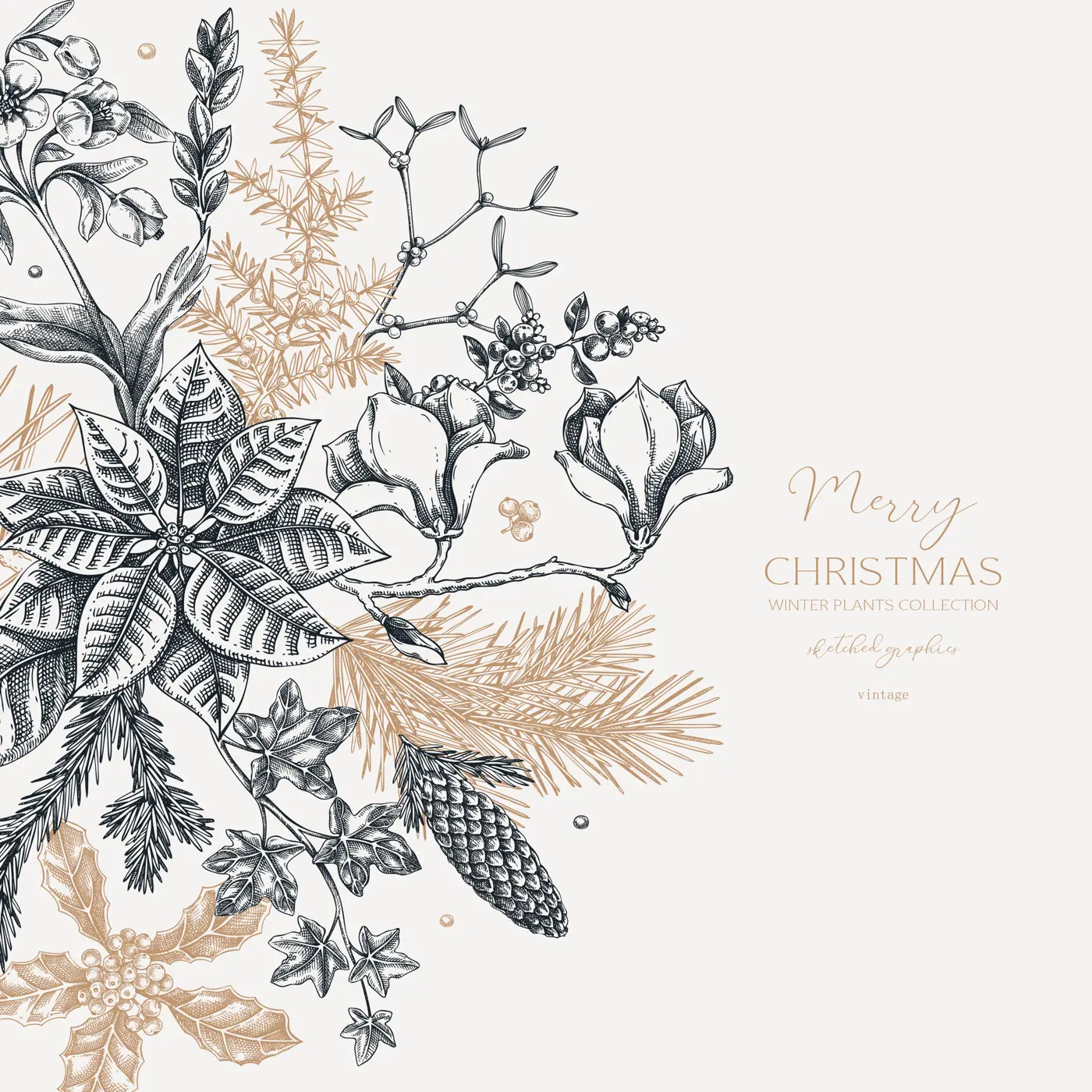 Merry Christmas card. Floral round composition. Evergreen plants, conifers, and cones sketches. Winter vector design.Hand-drawn botanical illustrations. NOT AI generated images Illustration